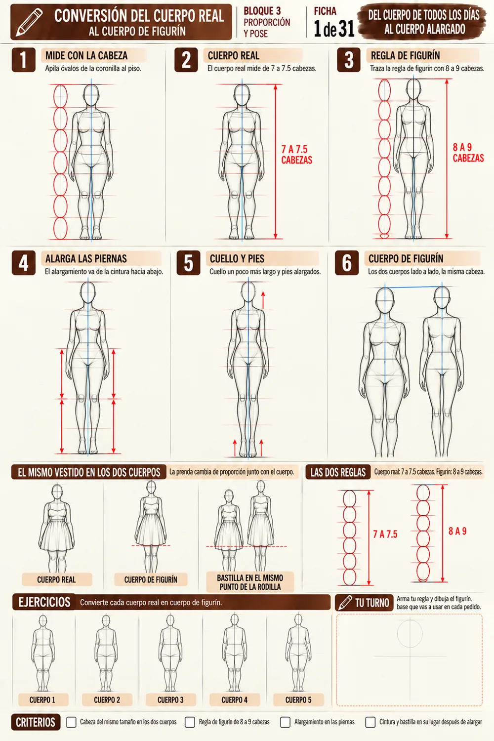 Ficha de conversión del cuerpo real al cuerpo de figurín
