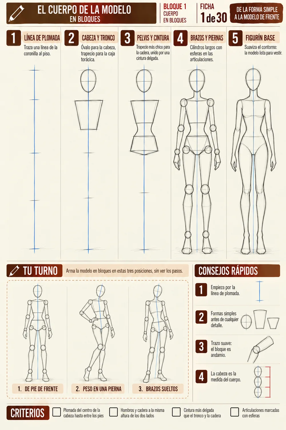 Ficha de cuerpo en bloques